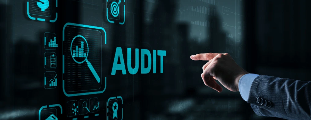 Outsourced Audit Services